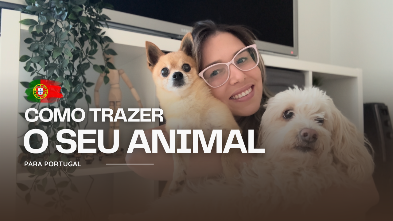 COMO LEVAR SEU ANIMAL DE ESTIMAÇÃO PARA PORTUGAL